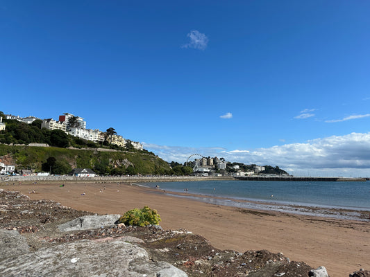 Torbay Rum: Our Story